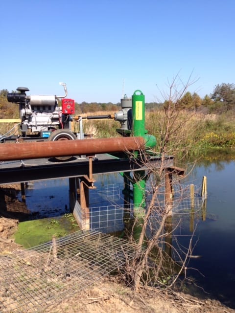 Waterfowl And Wetlands Water Pump